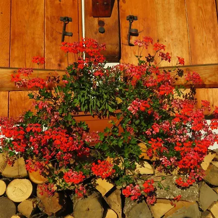 Le Chalet De L Etelley